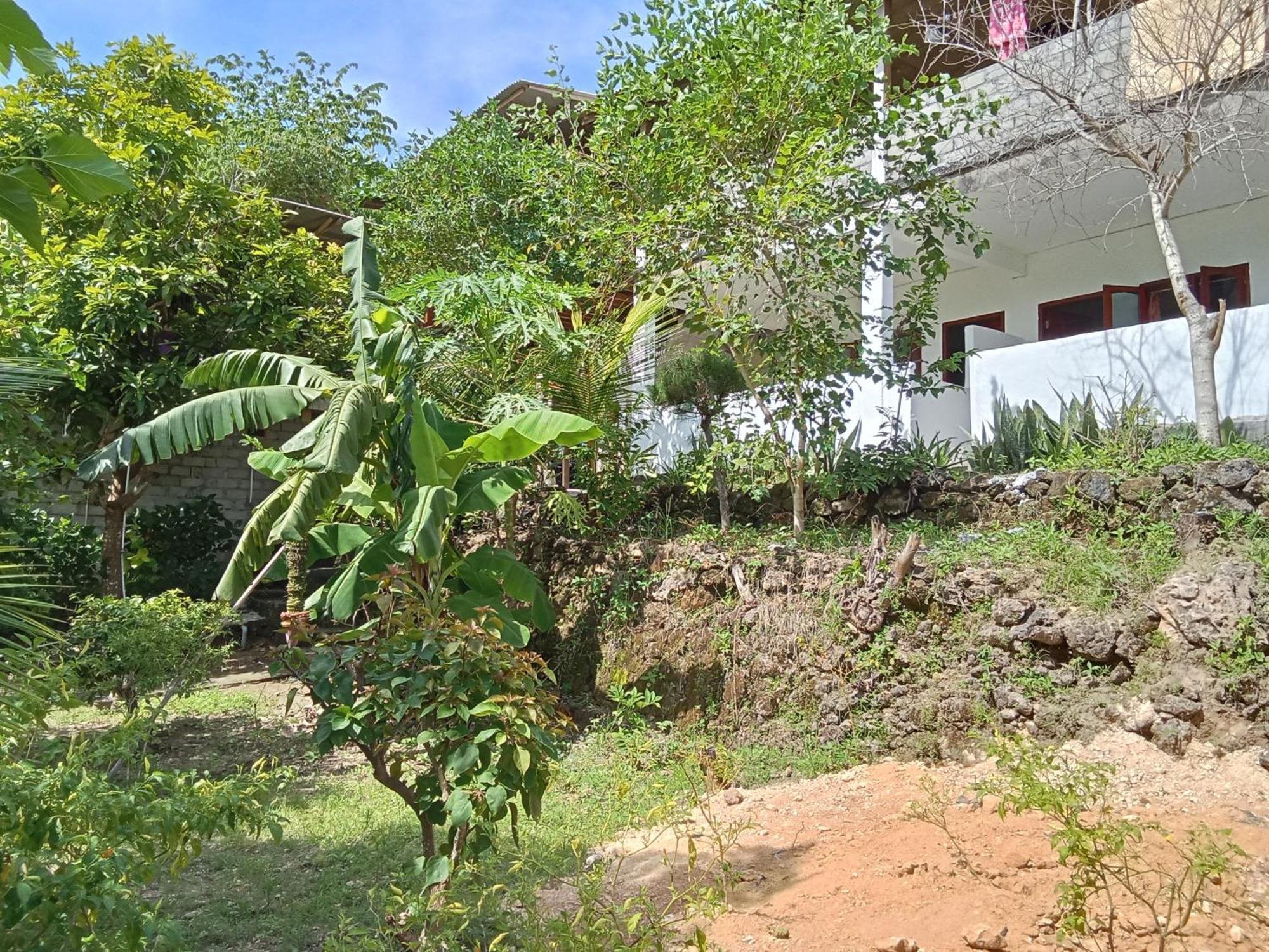 Feby'S Homestay Ekas Ngoại thất bức ảnh